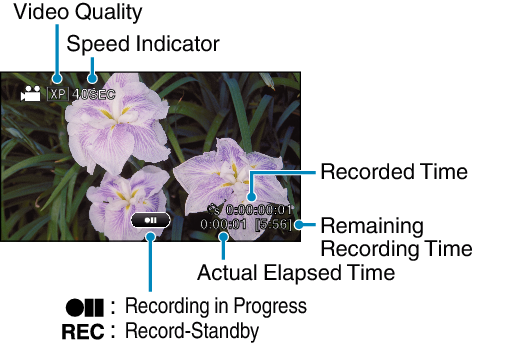 Indications Time-Lapse